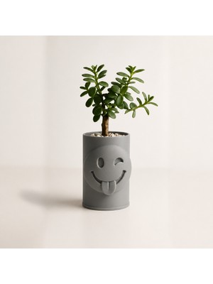 Bezos 3D Baskı Emoji Planter - Göz Kırpan Yüzlü Sukulent Saksısı-Gri