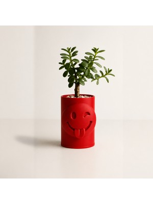 Bezos 3D Baskı Emoji Planter - Göz Kırpan Yüzlü Sukulent Saksısı-Kırmızı
