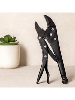 Bezos 10 Inç (250 Mm) Kilitli Ayarlı Komple Metal Pense