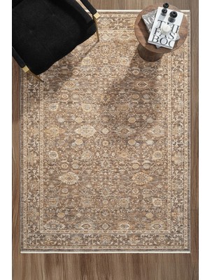 Eliz Home Eskitme Vintage Halı Bambu Polyester Oturma Odası Salon Mutfak Halısı 6
