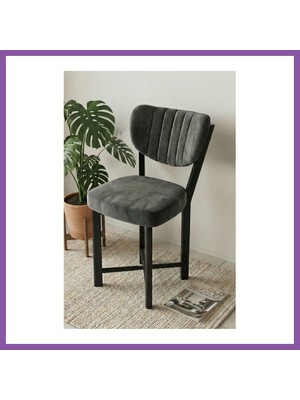 Bezos Sandalye 1 Adet Baby Face Kumaş Metal Modern Mutfak Sandalyesi Cafe Balkon Ofis Elma 9815 Antrast Bzoshb