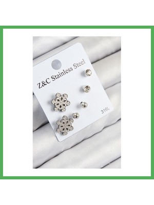 Astraltech 316L Çelik Zirkon Taşlı Kar Tanesi Model Gümüş Renk Kadın Set Küpe Bezoss