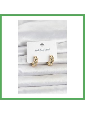 Astraltech 316L Çelik Gold Renk Halka Model Kadın Küpe Bezoss