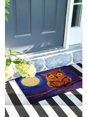Die Grup Tr Baykuş Kapı Önü Paspası Dekoratif Kapı Paspası Dış Mekân Paspas Ev Içi Paspası 45X70CM
