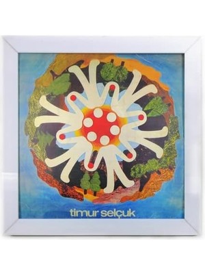 Die Grup Tr Plak Duvar Çerçevesi (White, 12 (Lp))
