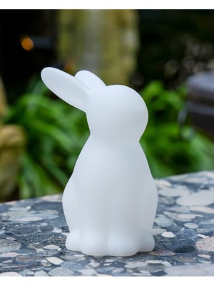 Die Grup Tr Bunny Rgb Kablosuz Masa Lambası