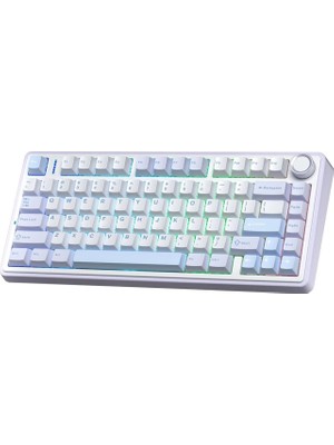 Die Grup Tr F75 Mekanik Rgb Tkl Gray Switch Kablosuz Makrolu Hot Swap Klavye Buz Mavisi