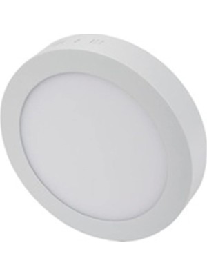 Die Grup Tr CT-5273 6400K Beyaz 30W Alüminyum Kasa Yuvarlak Sıva Üstü LED Panel Hsplinm-6
