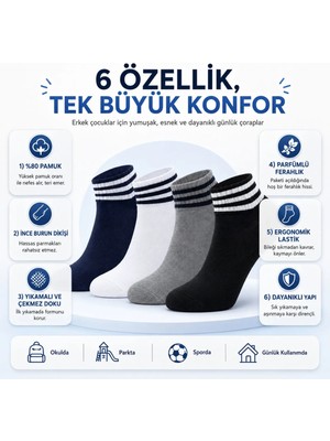 Budi Home Erkek Çocuk Pamuklu Çizgili Patik Çorap 8'li | Nefes Alan Esnek Okul Günlük Spor Çorabı