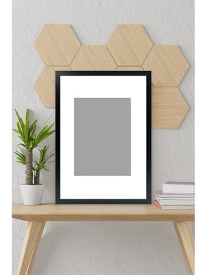 Özcanlar Çerçeve Özcanlar Avrupa Fonlu Siyah Derinlik Görünümlü Tekli Resim Çerçevesi 25x25 cm Lamine