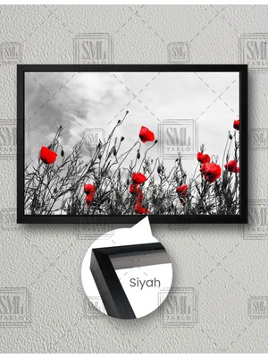 SML Tablo Siyah Beyaz Bahçe Kırmızı Gelincik Çiçeği Manzara  Çerçeveli Yatay Kanvas Tablo