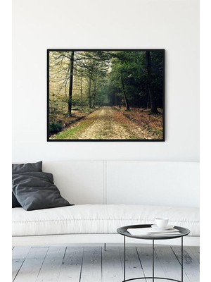 Zemira Postermanya (PSTER10722) Ağaçlı Yol Doğa Manzara Çerçeveli Tablo (30 x 40CM)