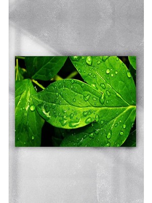 Zemira Postermanya (PSTER9521) Yaprak Sanatsal Poster (60X90CM)