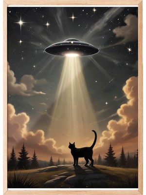 Zemira Zestia Ahşap Çerçeveli Tablo, ve Ufo, Işık Hüzmesiyle Kaçırılma Teması Poster No: 107534 50 x