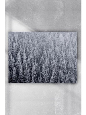 Zemira Postermanya (PSTER6502) Kış Kar Manzara Poster 5 60X90CM