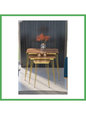 Astraltech Gold Tel Zigon Ceviz 3'lü Bezoss