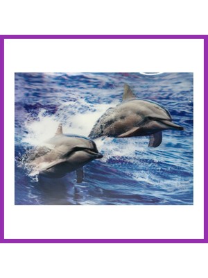 Salmore 3 Boyutlu Resim Sevimli Yunuslar Ikili Yunus Resmi Tablosu 30X40 cm Bty