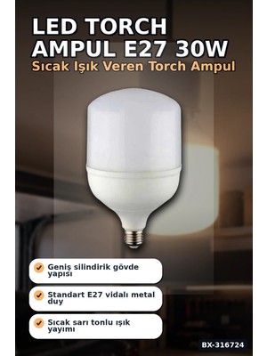 Eco Lounge LED Torch Ampul 30W E27 Duy 3200K Gün Işığı 2930 Lümen Güçlü Iç Mekan Aydınlatma BX-316724