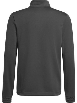 Adidas Entrada 22 Erkek Siyah Dik Yaka Sweatshirt