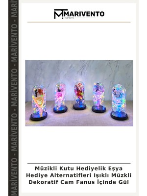 Müzikli Kutu Hediyelik Eşya Hediye Alternatifleri Işıklı Müzkli Dekoratif Cam Fanus Içinde Gül