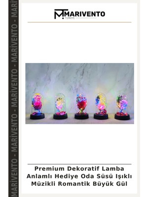 Premium Dekoratif Lamba Anlamlı Hediye Oda Süsü Işıklı Müzikli Romantik Büyük Gül