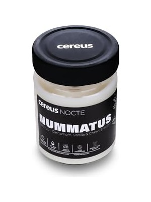 Defne Store Nocte Nummatus Paçuli & Vanilya Kokulu Soya Mum
