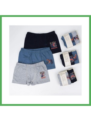 Astraltech 2li Erkek Boxer K128638 (Tek Adet Fiyatıdır) · Renk: Asorti · Beden: 5-6 Yaş Bezoss