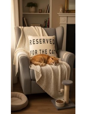 Mey İthalat Kırlent Kılıfı, Reserved For Cat (43X43)