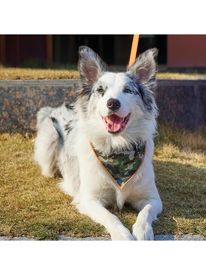Nzm Store Wıld Jungle Bandana Collar (M)