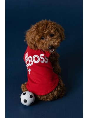Nzm Store The Boss Yazılı Pamuklu Köpek ve Kedi Tişört (Kırmızı, X-Small)