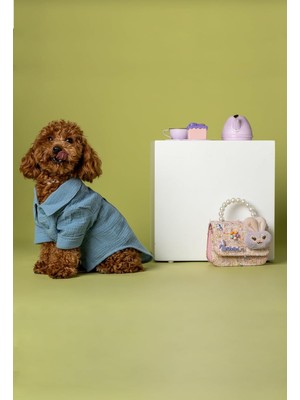 Nzm Store %100 Müslin Kumaş Tasma Delikli Köpek ve Kedi Gömlek (Mavi, X-Small)