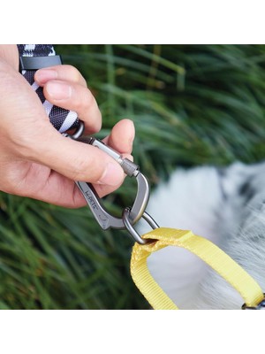 Nzm Store Wıld Safarı Collar (M)