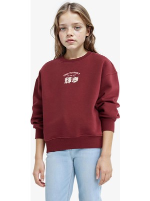 DeFacto Relax Fit Bisiklet Yaka Baskılı İçi Yumuşak Tüylü Sweatshirt Kız Çocuk E6779A825WN
