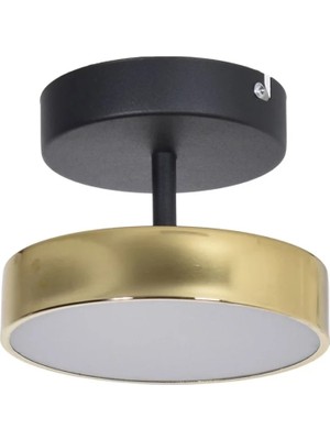 Modavize Tual Modern  Salon Yatak Odası Giyinme Odası Mutfak Beyaz Işık Ledli Parlak Gold  2 Li LED Avize