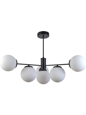 Modavize Violet Modern Tasarım Salon Mutfak Yatak Odası Siyah Renk Beyaz Camlı 6 Lı Avize