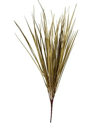 Bomii Yapay Çiçek Gold Altın Dore Grass Saz 50 cm Bitki Yapay Çiçek Dekor Çiçeği Uzun Ot