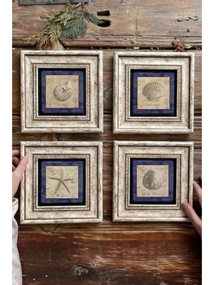 Bomii Duvar Dekoru, Oscar Stone Decor Çerçeveli Taş Tablo 20X20 cm 4'lü Set Deniz Kabuğu Seti Shell 4-4CDD-190