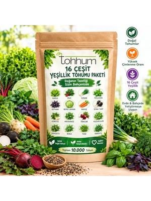 Ceylan Adam 16 Çeşit Yeşillik Tohumu – Sebze ve Aromatik Bitki Tohum Seti – Marul, Pazı, Soğan, Havuç, Turp ve Daha Fazlası