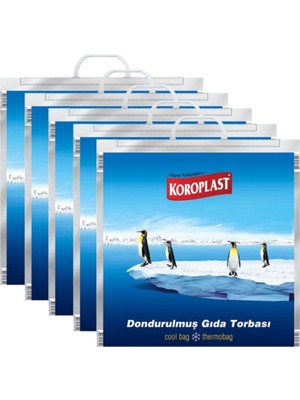 Ceylan Adam Dondurulmuş Gıda Torbası, 50X52 Cm, 5'li Set, Mavi