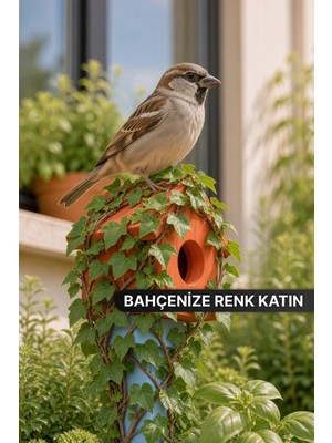 Bino Ahşap Kuş Yuvası Dekoratif Kuş Evi Saksı, Balkon Bahçe Süsü Toprağa Saplamalı 52 cm 1 Adet