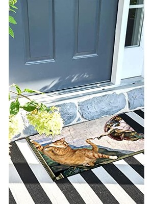 Trendexa Kedinin Yaratılışı Kapı Önü Paspası Dekoratif Kapı Paspası Dış Mekân Paspas Ev Içi Paspası 45X70 cm