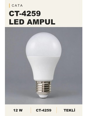 Onerous 12W E27 LED Ampul