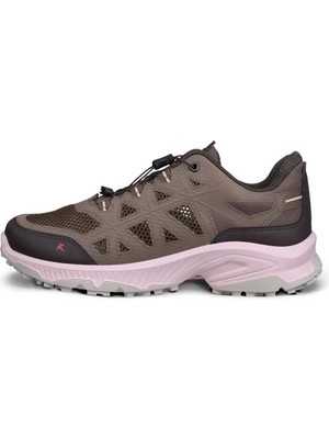 Ecco Receptor Xp