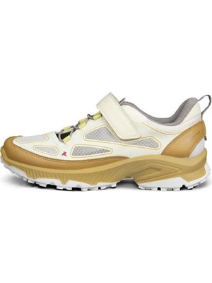 Ecco Receptor Xp