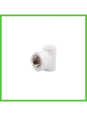Bezos Pprc 20MM1/2 Iç Dişli T 1 Adet Vengners