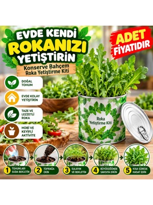 ENCO Evde Konservede Iri Yapraklı Roka Yetiştirme Kiti (Adet Fiyatıdır)