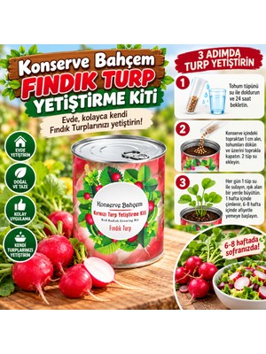 ENCO Konserve Bahçem Evde Konservede Fındık Turp Yetiştirme Kiti