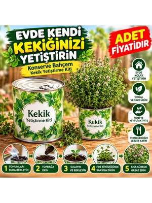 ENCO Evde Konservede Kekik Dağ Kekiği Yetiştirme Kiti (Adet Fiyatıdır)