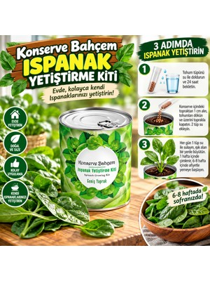 Svoria Store Konserve Bahçem Evde Konservede Kolay Ispanak Yetiştirme Kiti