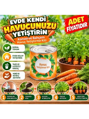 Akıllı Bayi Konserve Bahçem Evde Konservede Havuç Yetiştirme Büyütme Kiti